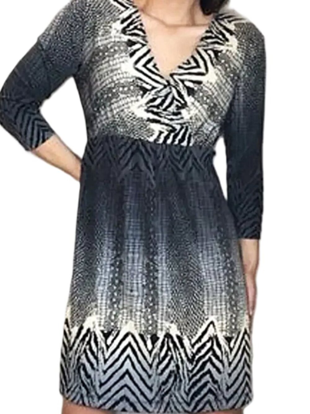 Chico's Cross Over Mixed Animal Print Dress size 1